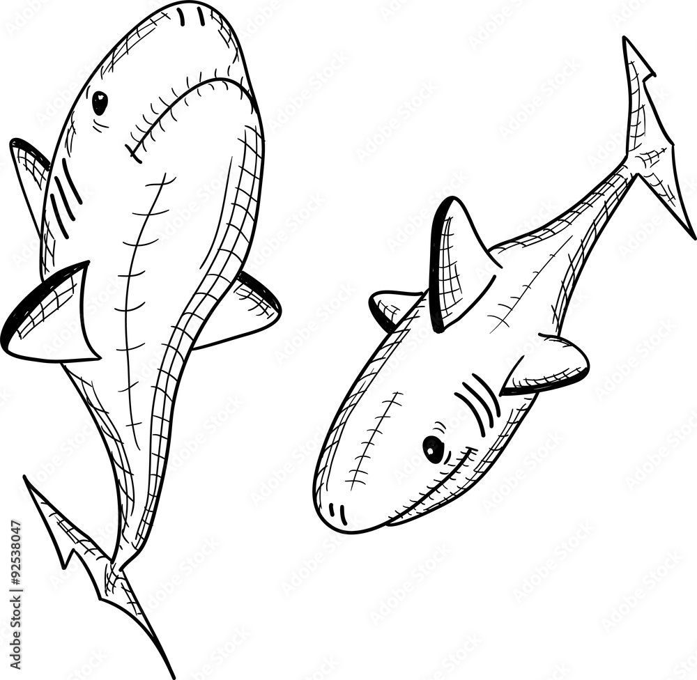 рыба акула на белом фоне, вектор Stock Vector | Adobe Stock
