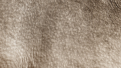 Fototapete Nashorn Breitmaulnashorn Haut Textur Hintergrund  © lirtlon