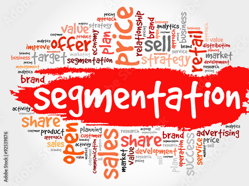 Segmentation word cloud, business concept