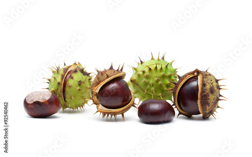 ripe chestnuts on a white background