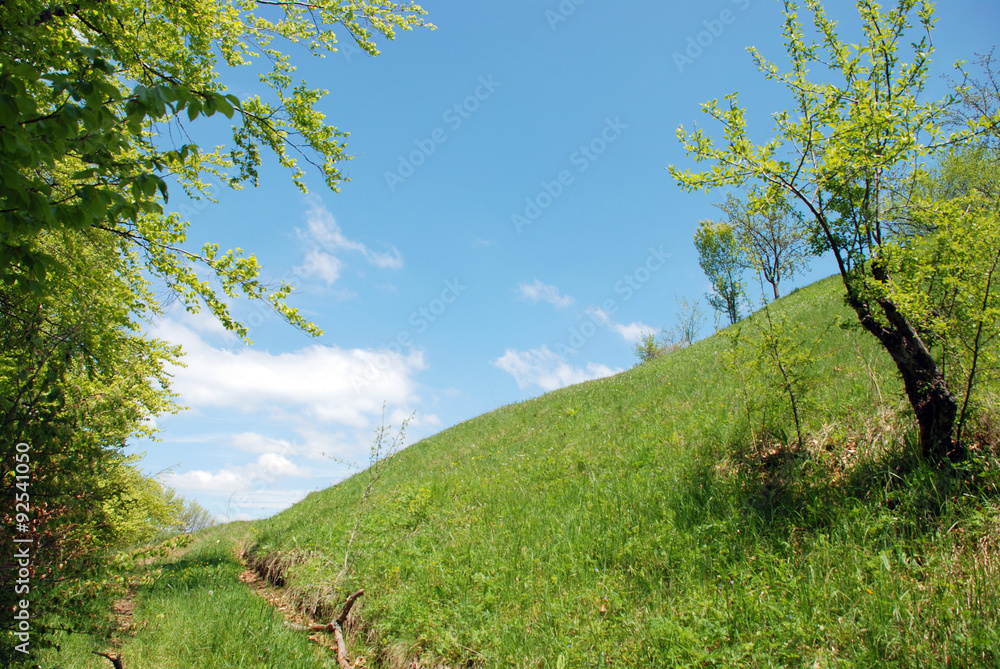 Background of a spring mountain landscape.