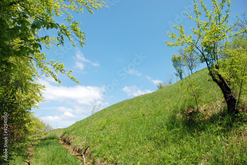 Background of a spring mountain landscape.