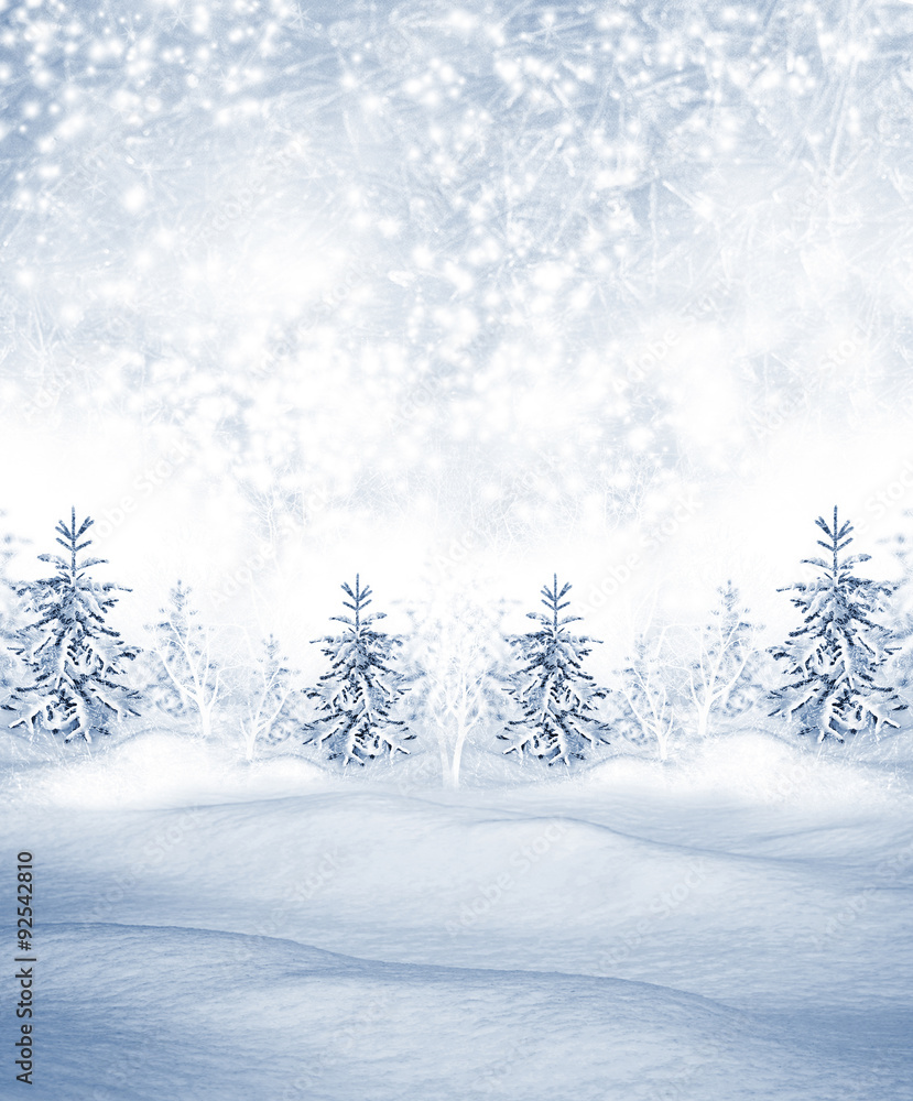 winter Landscape winter Landscape
