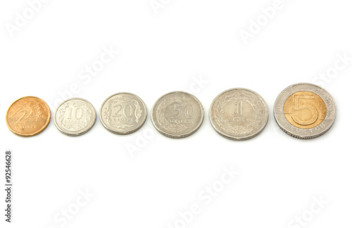 polnische Münzen