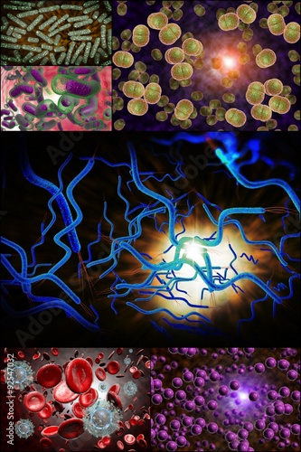 Bacteria Infection Collage photo