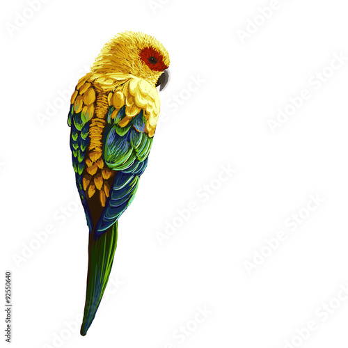 Carta da parati Pappagalli - Carta da parati Bright painted parrot
