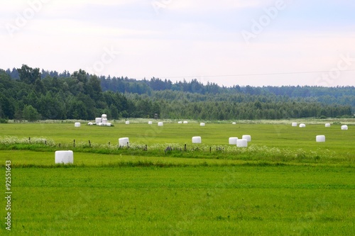 At the farms in Kupiskis district. The Lithuania.