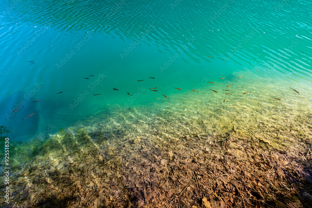 Virgin nature of Plitvice lakes national park, Croatia