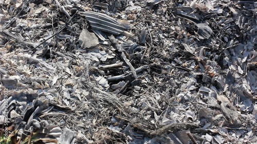 smoking and smoldering ashes after fire photo