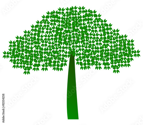 albero