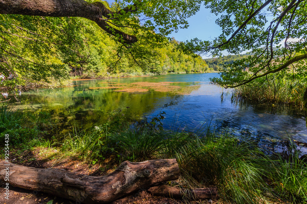Virgin nature of Plitvice lakes national park, Croatia Virgin nature of Plitvice lakes national park, Croatia