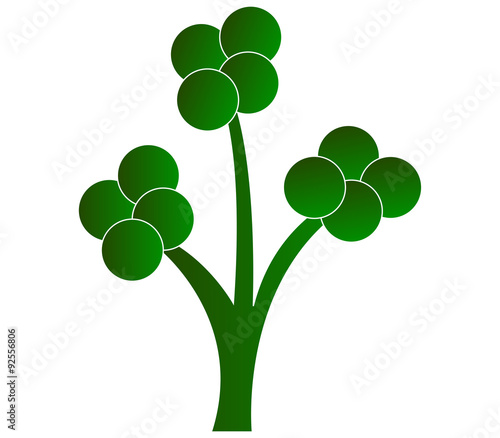 albero