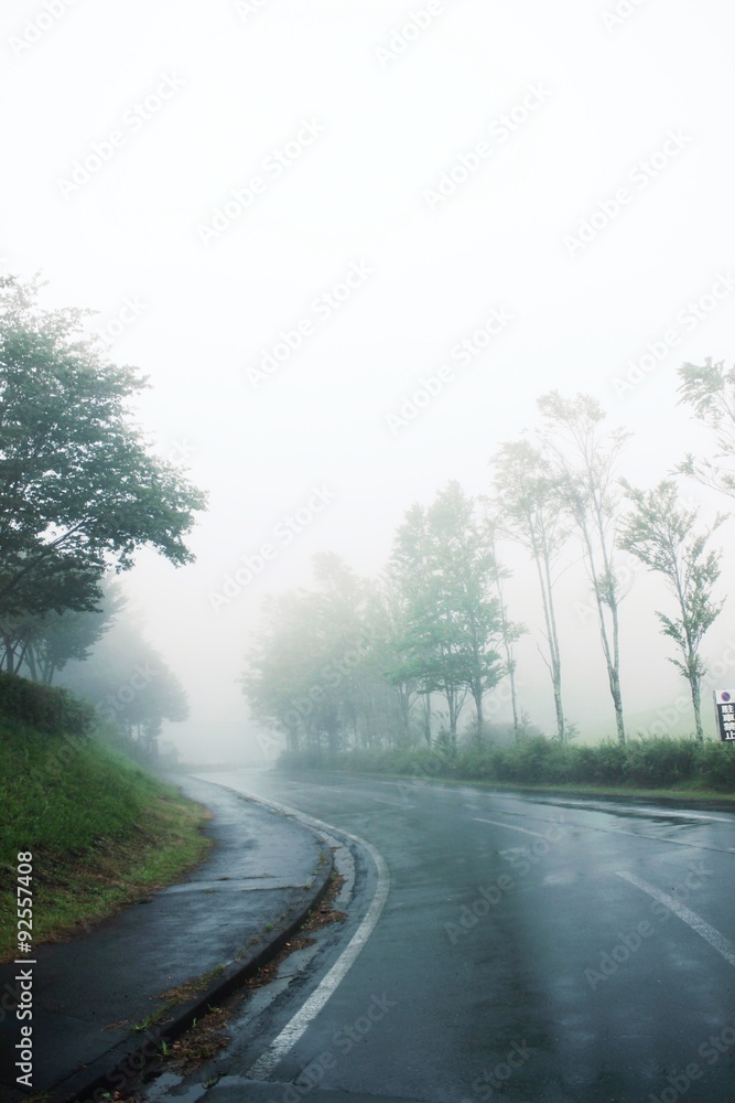 Fototapeta premium 霧の高原の道/霧に包まれる高原の中の道