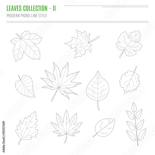 Set of leaves in modern, line style © sunshine_art