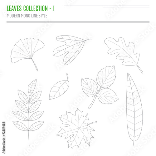 Set of leaves in modern  line style