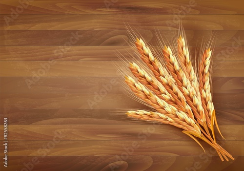 Ears of wheat. Vector illustration