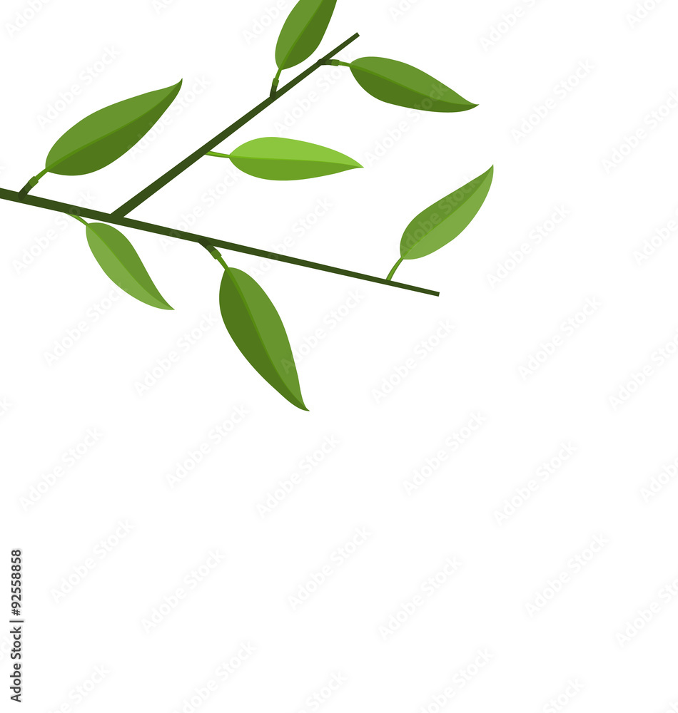 Branch Tree with Green Leaf