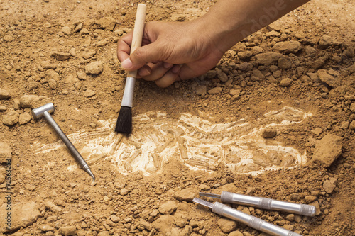 Slika na platnu Skeleton and archaeological tools.Training for dig fossil.