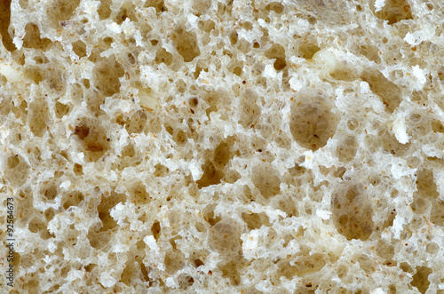 Wallpaper Mural Biological texture. Torontodigital.ca