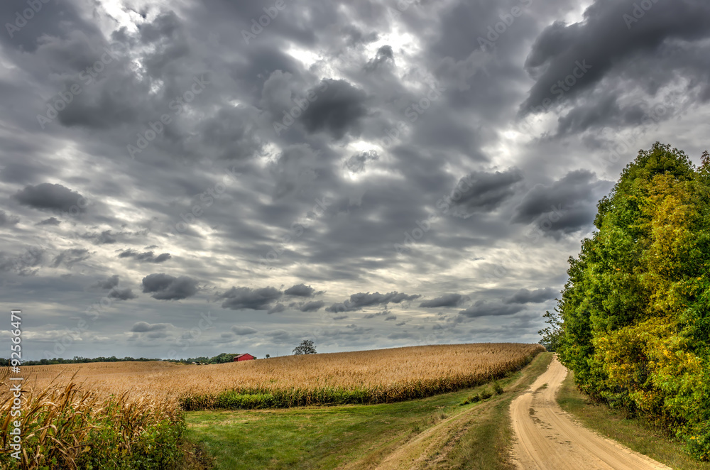 Obraz premium Maryland Country Road in Autumn at twilight