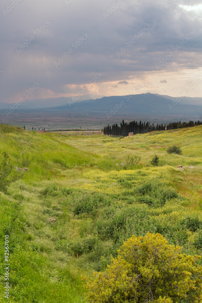 Obraz premium Scenery view of grass valley with mountains