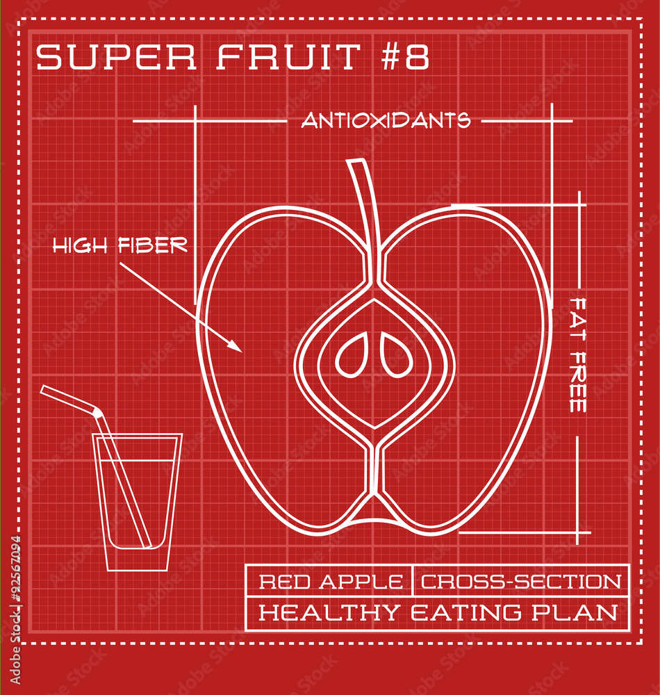 Blueprint diagram line drawing of an apple crosssection Stock Vector