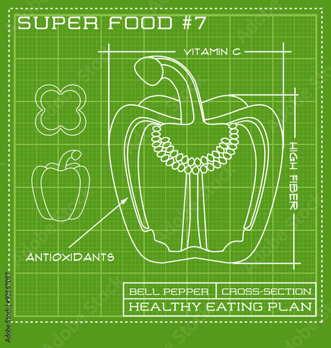 Blueprint diagram line drawing of green pepper. cross-section.