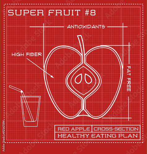 Blueprint diagram line drawing of an apple cross-section