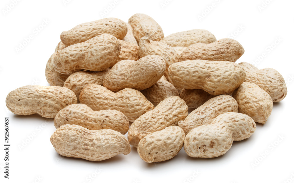 peanut pod or arachis isolated on white background cutout peanut pod or arachis isolated on white background cutout