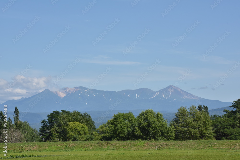 Fototapeta premium 北海道の大地