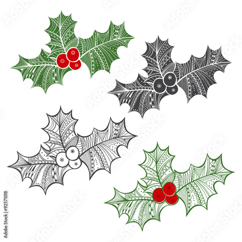 Holly berry. Set of  holly berry  isolated on white background.