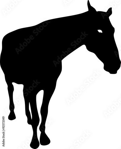 Silhouette of horse