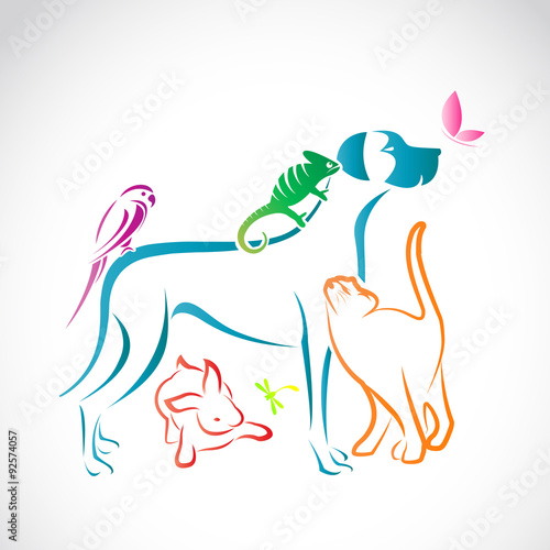 Vector group of pets - Dog, cat, parrot, chameleon, rabbit, butt