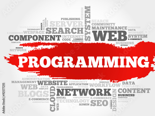 Programming word cloud, business concept