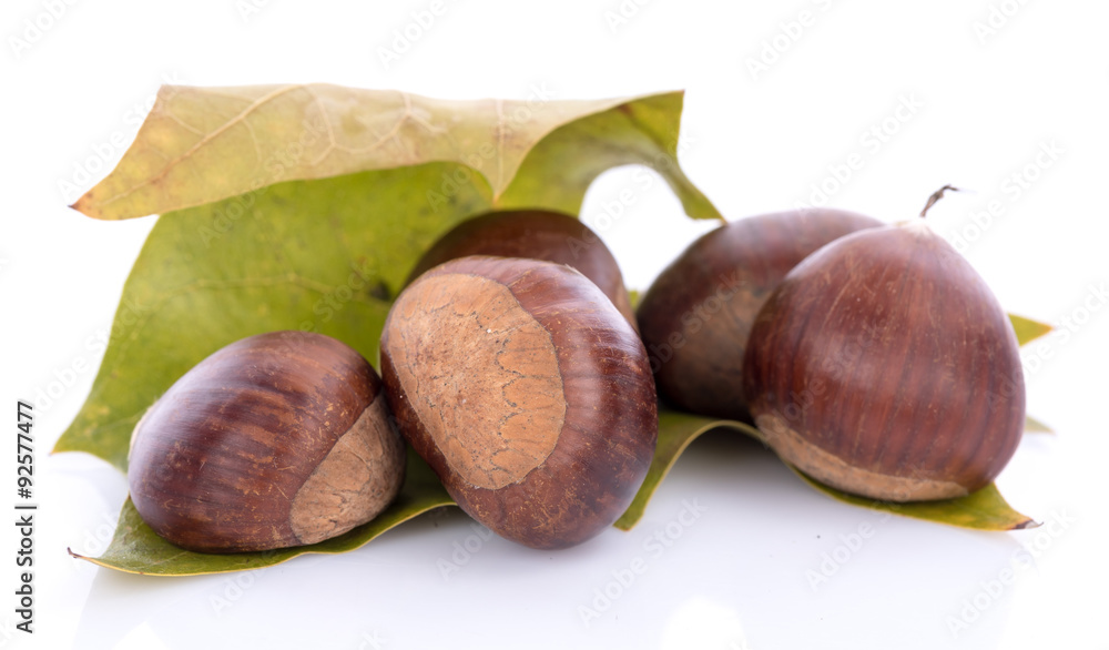 Chestnuts on a leaf Chestnuts on a leaf