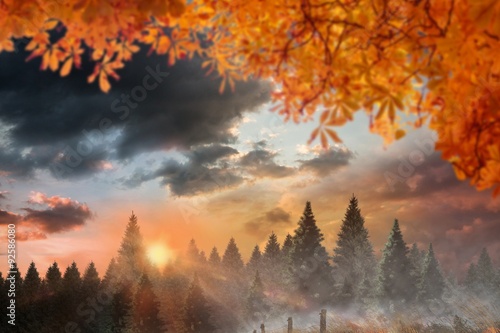 Composite image of autumn leaves