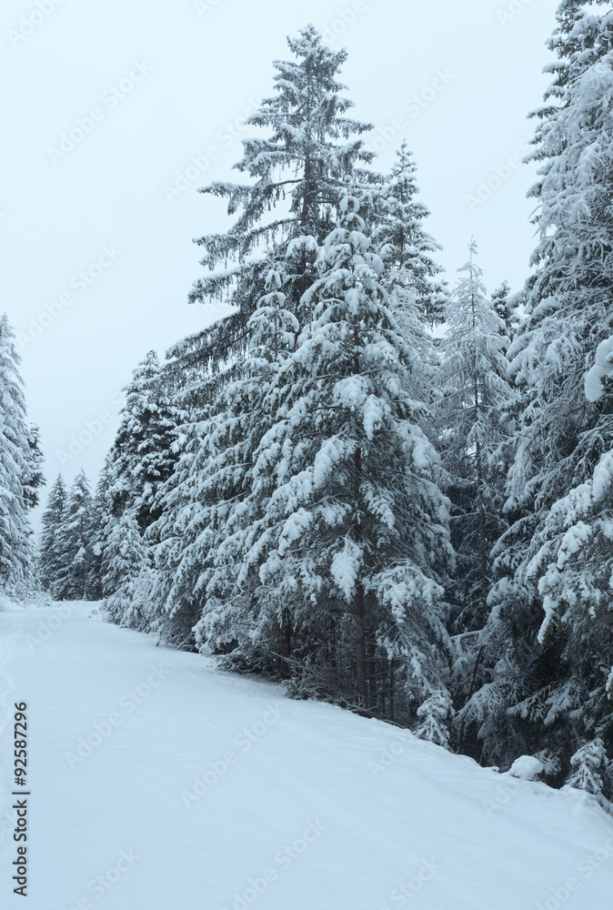 Snowy road Snowy road