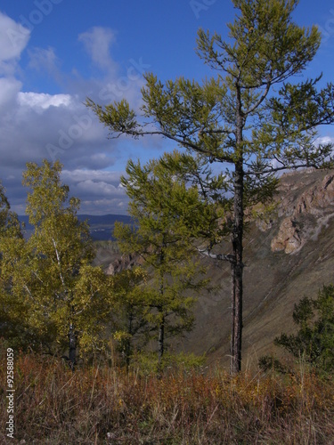Торгашинский хребет