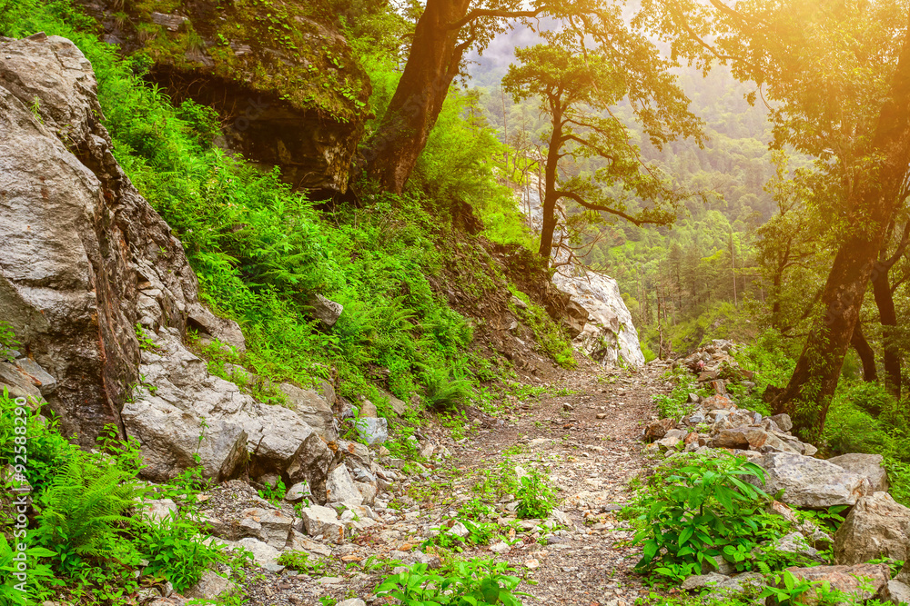 Mountain road in valley