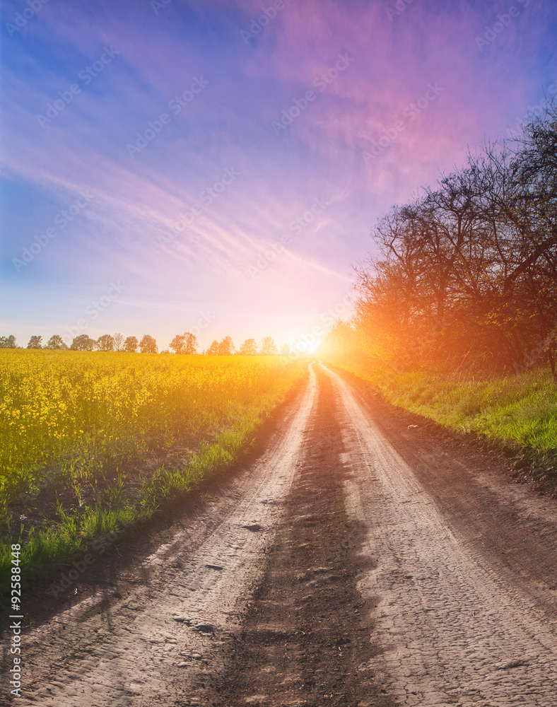 Colorful sunrise in field Colorful sunrise in field