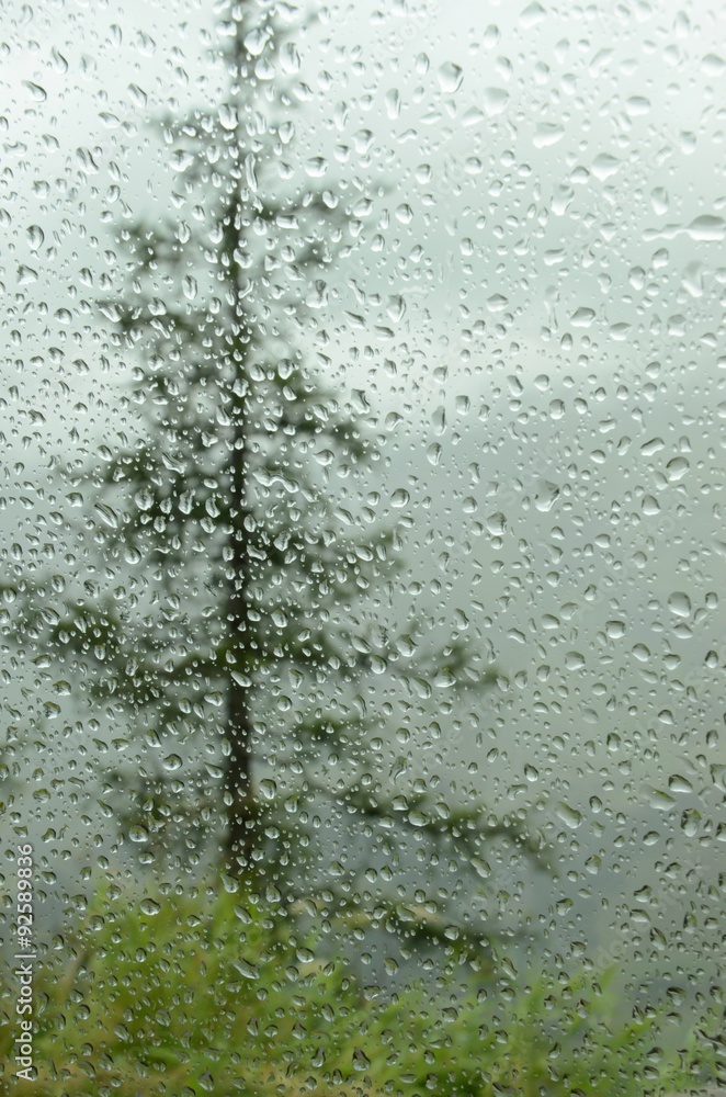 raindrops on car window in forest raindrops on car window in forest