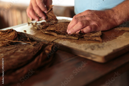 Photography Making tobacco cigars in a typical farm in Vinales, Cuba