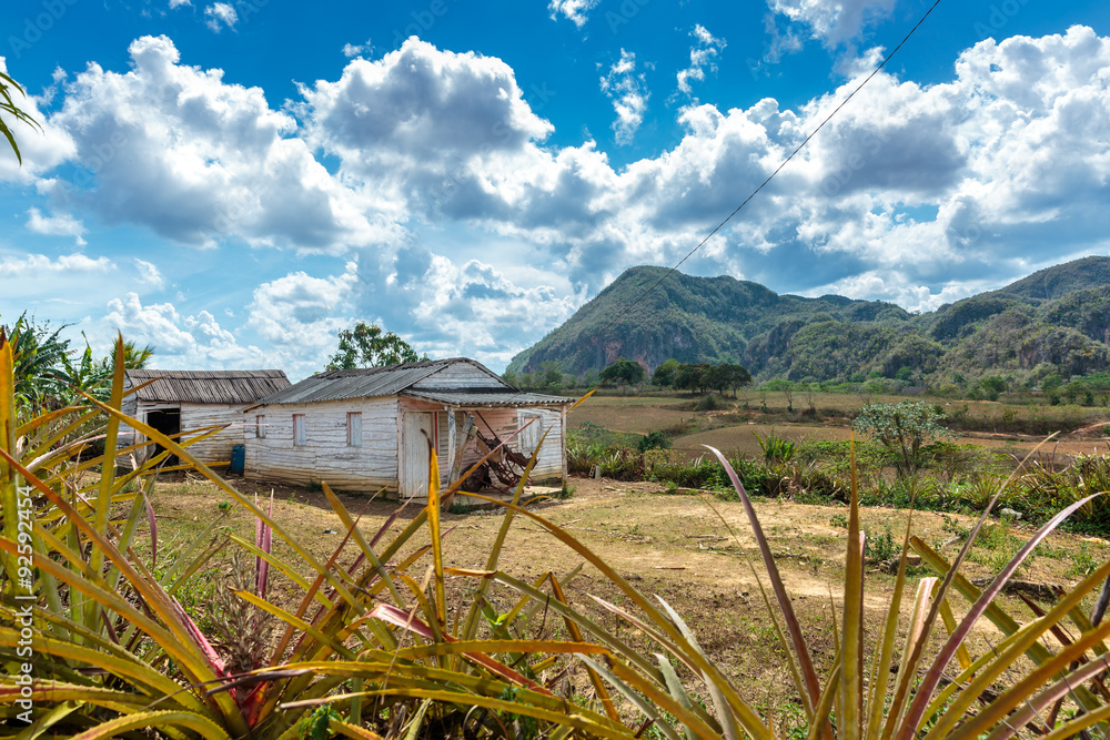 Fototapeta premium Vinales valley
