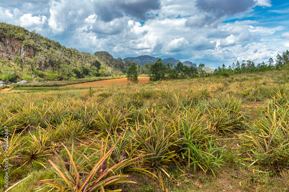 Vinales valley Vinales valley