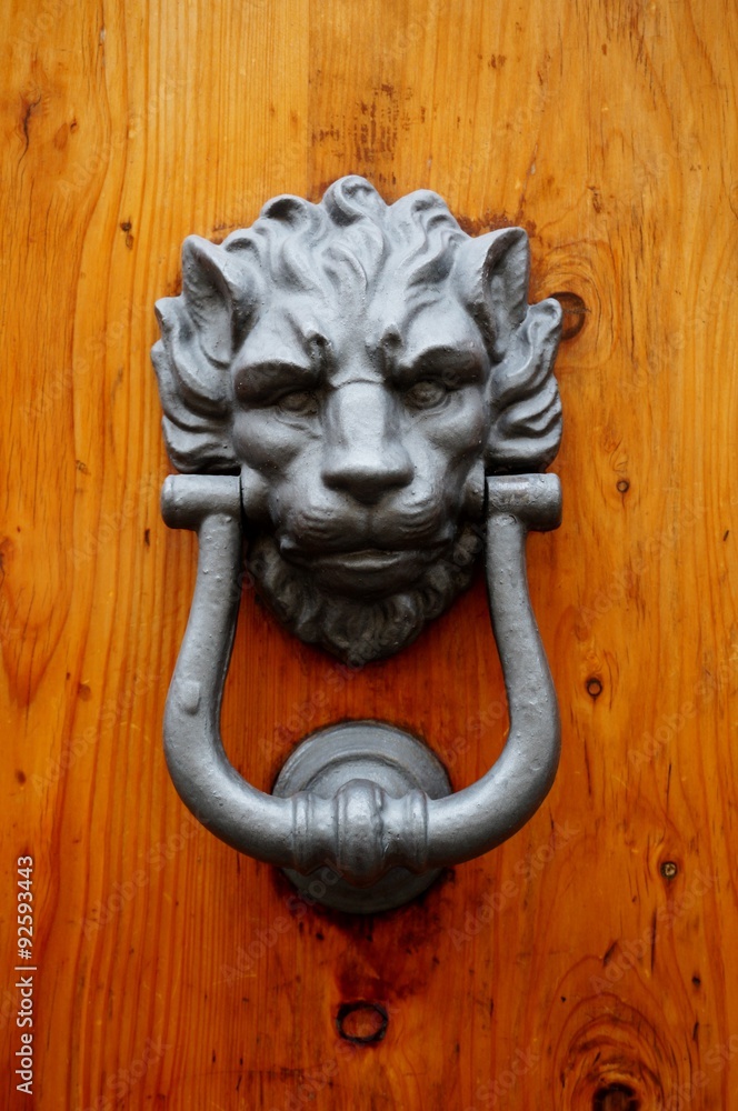 Ornate lion head metal door knocker on a wooden door background