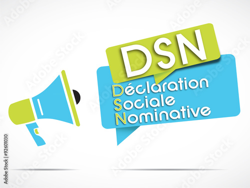 mégaphone : DSN (Déclaration Sociale Nominative) acronyme