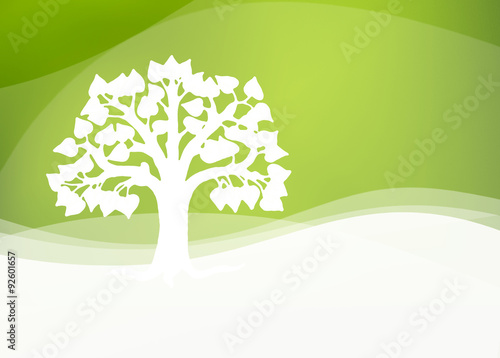 Linde vor Grünem Hintergrund