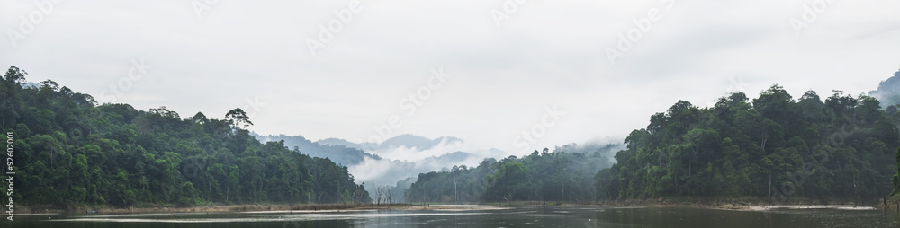 Panorama view of morning fog and dead trees in dense tropical rainforest, Perak, Malaysia - obrazy, fototapety, plakaty 