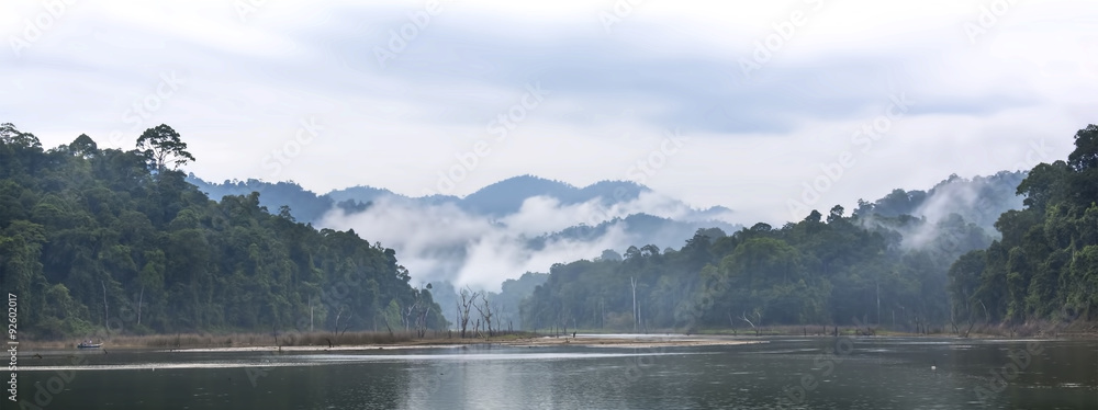 Fototapeta premium Morning fog in dense tropical rainforest, Perak, Malaysia