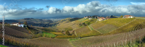 Piedmont Vineyards auttumn